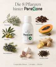 ParaGone