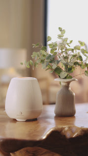 Weißer ProEnergetic Aroma Diffuser auf einem Holztisch mit sichtbarem Sprühnebel, anschließend eingeblendete ProEnergetic Duftessenzen im Innenraum